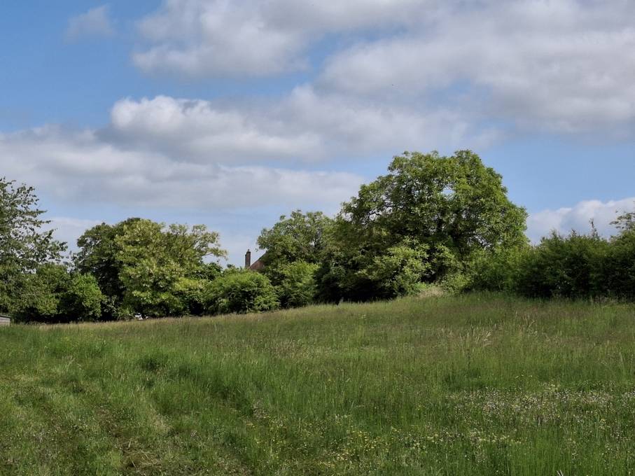 Hippisch vastgoed Koop Yonne