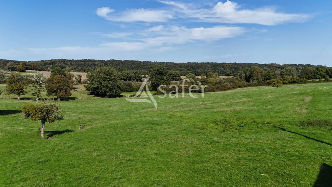 Bos exploitatie Koop Orne