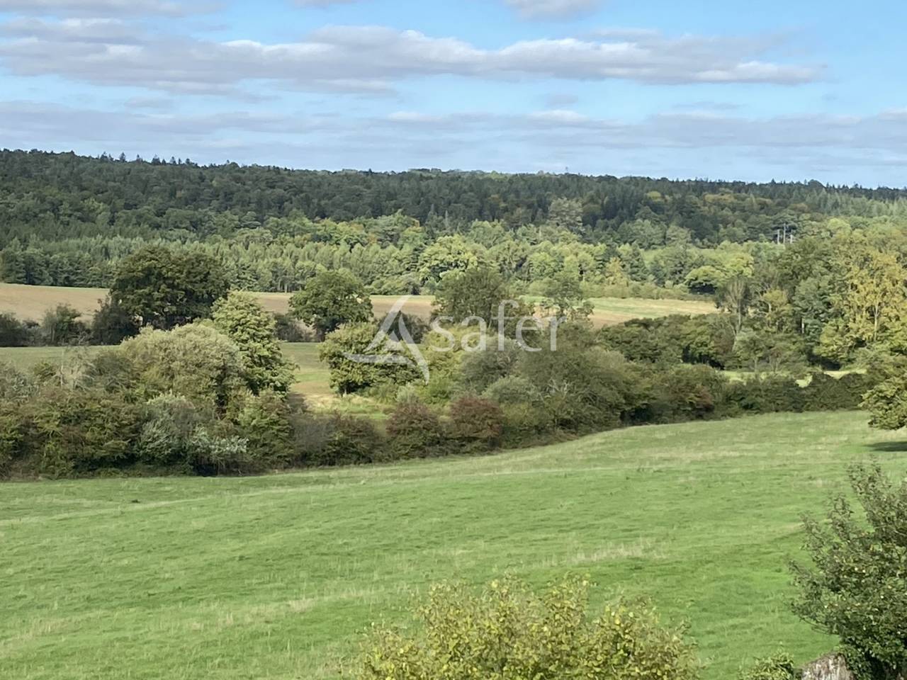 Bos exploitatie Koop Orne