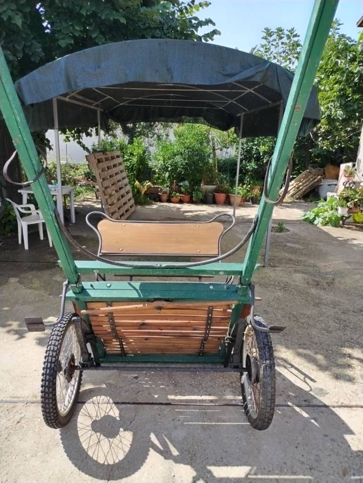 Rijtuigen - Calèche   