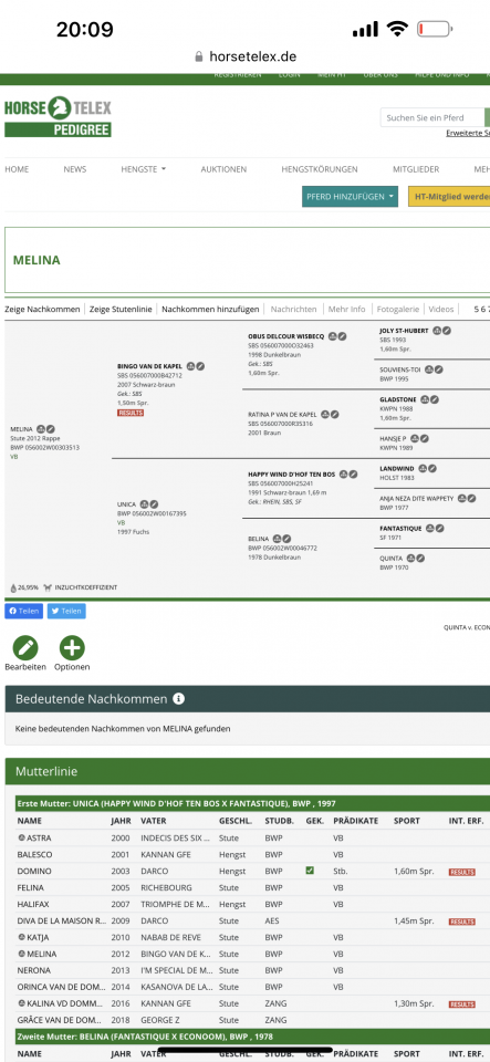 Ruin Zangersheide Te koop 2022 Zwart ,  Emidor z