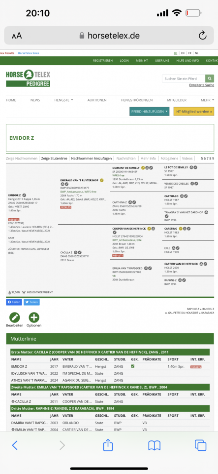 Ruin Zangersheide Te koop 2022 Zwart ,  Emidor z