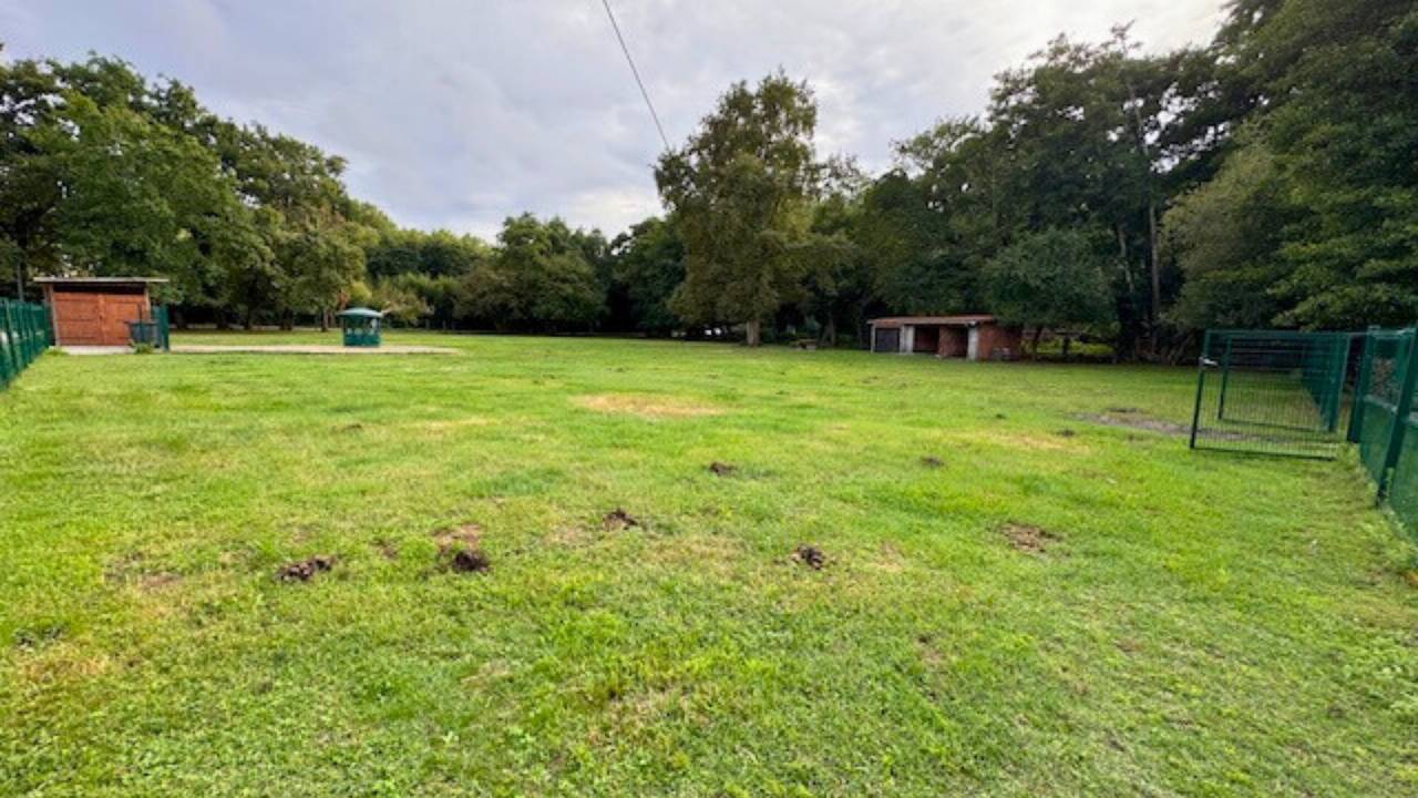 Terrein Koop Gironde