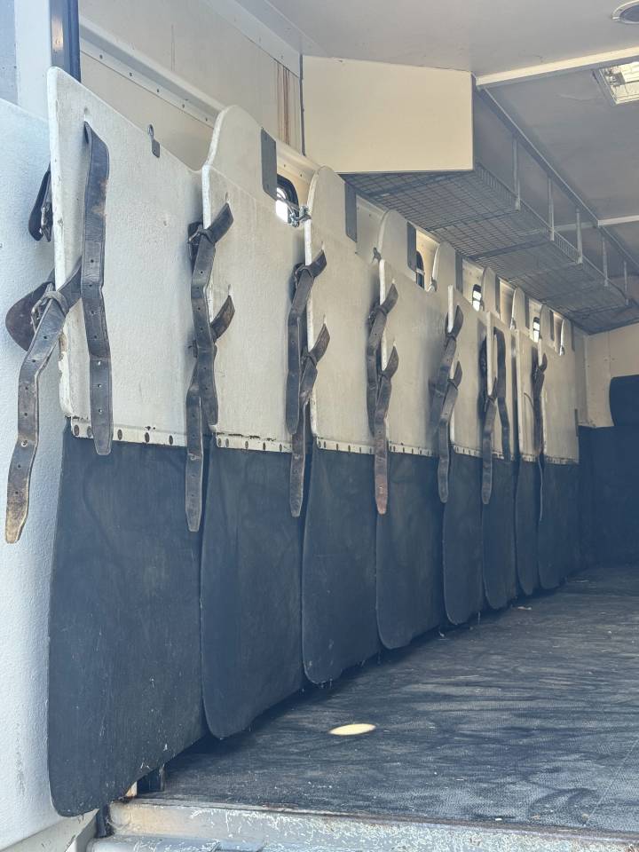 Zware paardenvrachtwagen (groot rijbewijs) Scania 94XS 2000 Tweedehands