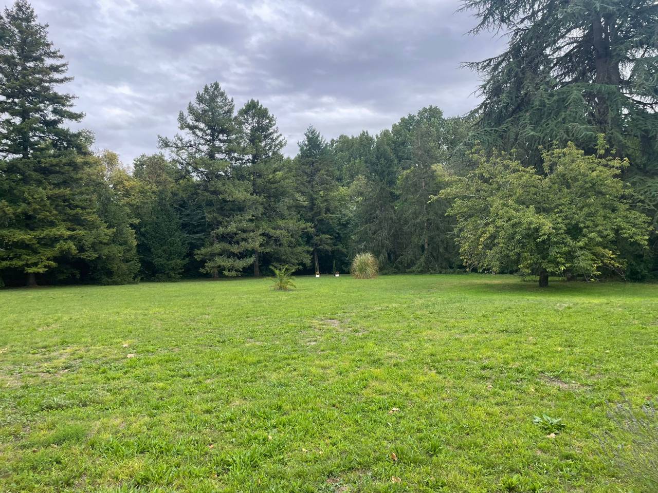 Hippisch vastgoed Koop Charente