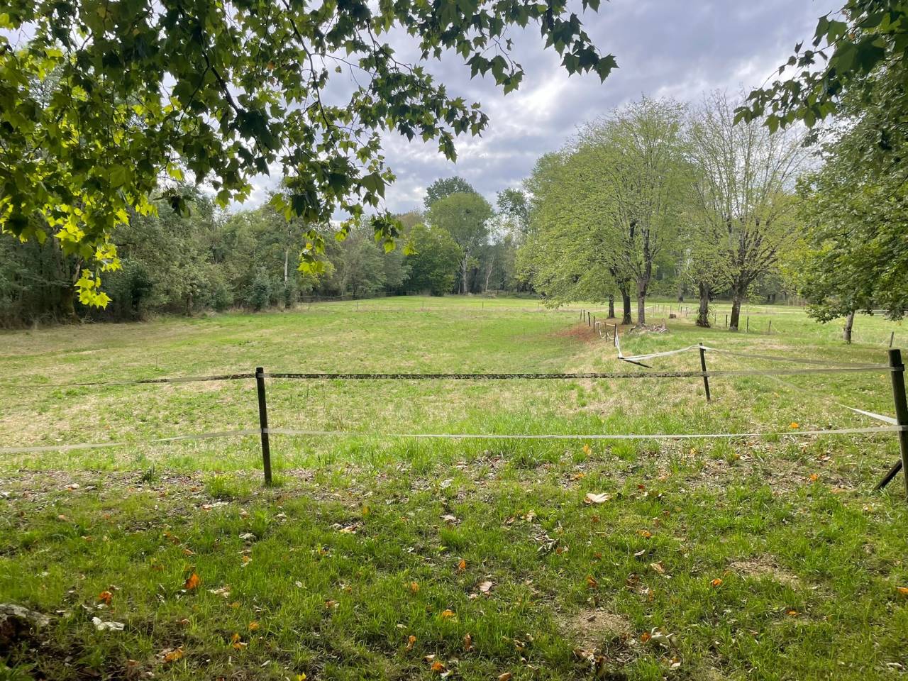 Hippisch vastgoed Koop Charente