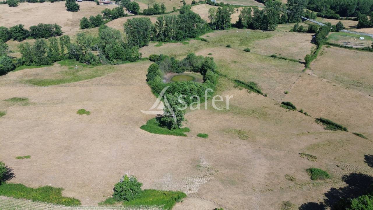 Landbouw bedrijf Koop Charente