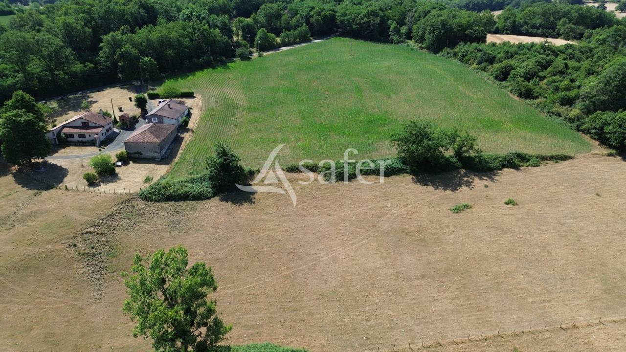 Landbouw bedrijf Koop Charente