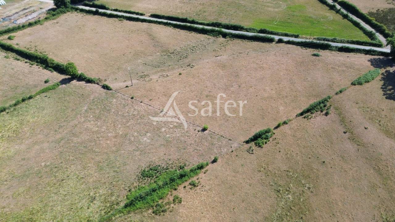 Landbouw bedrijf Koop Charente