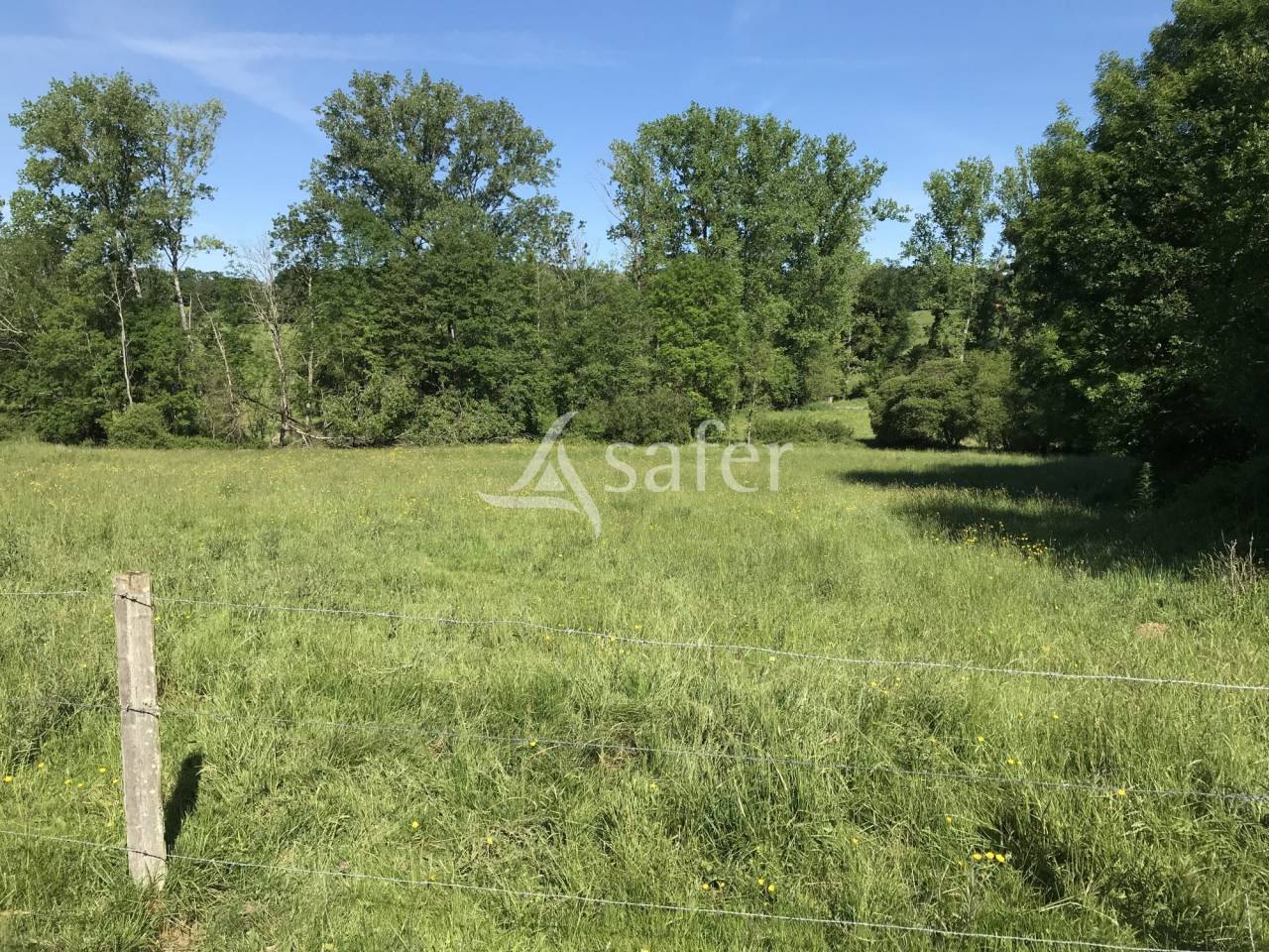 Landbouw bedrijf Koop Charente