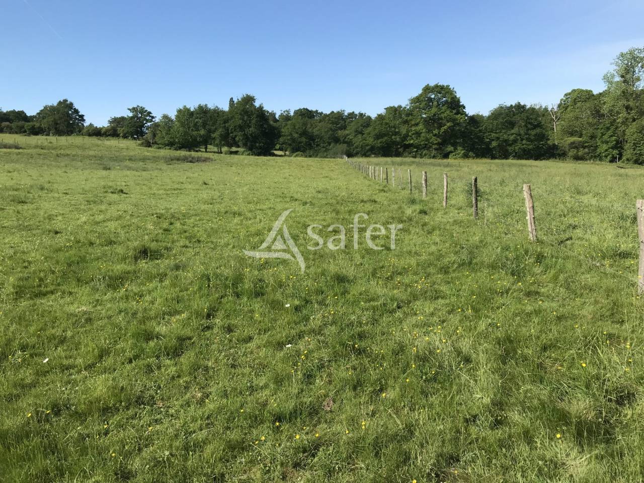 Landbouw bedrijf Koop Charente