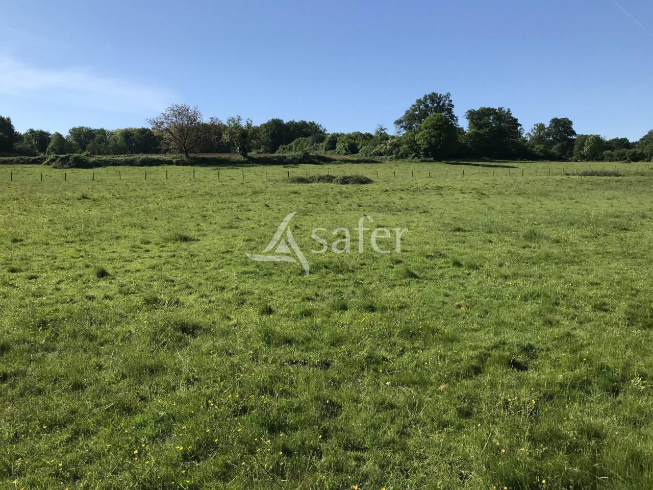 Landbouw bedrijf Koop Charente