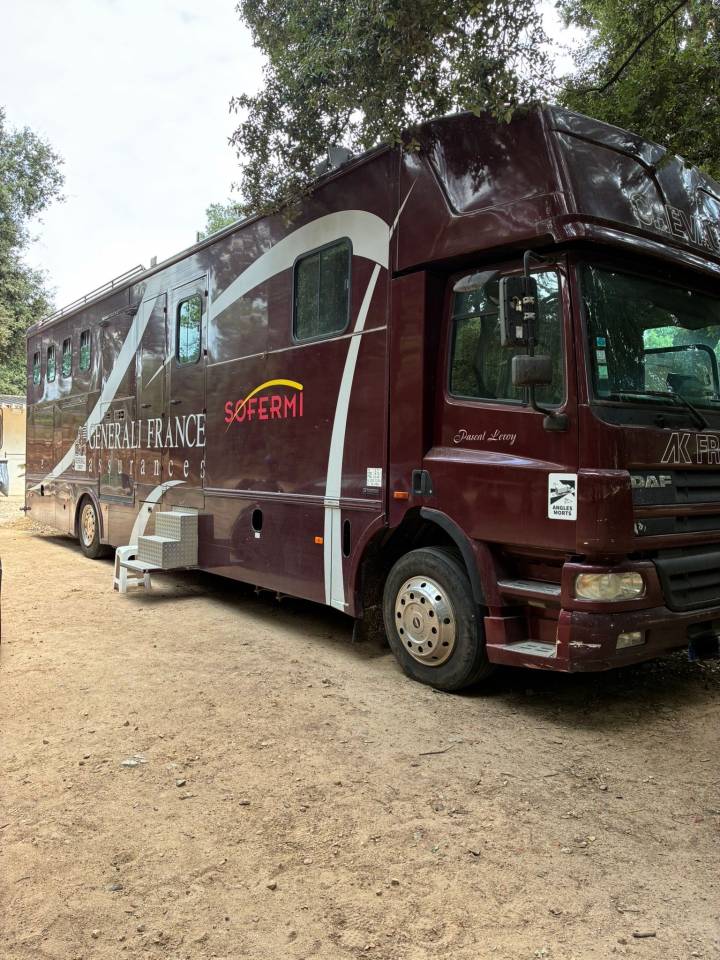 Zware paardenvrachtwagen (groot rijbewijs) Daf  2003 Tweedehands