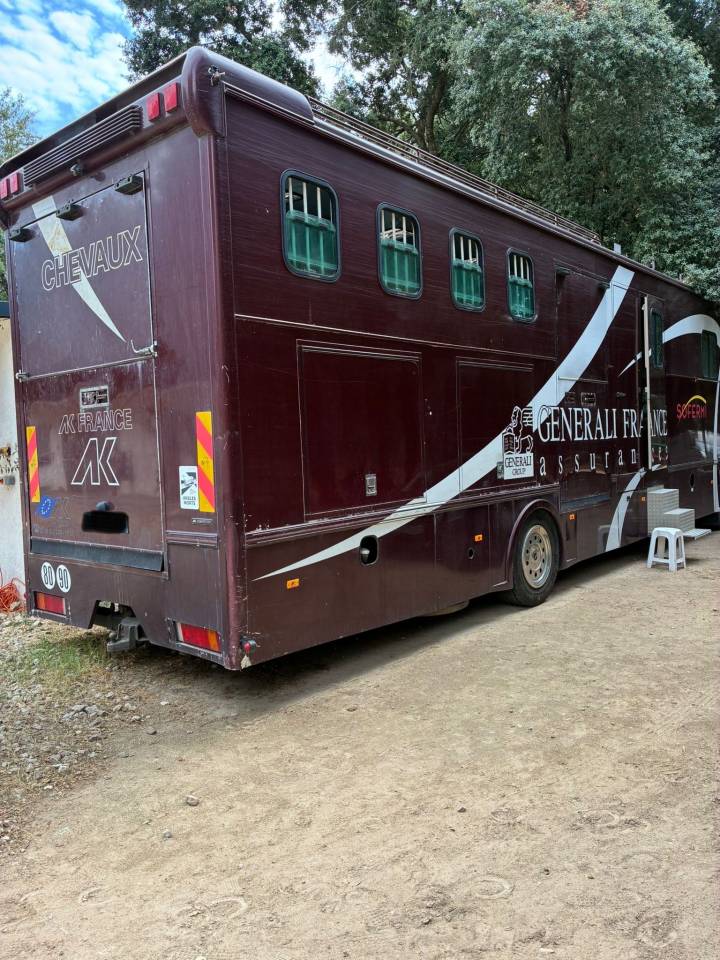 Zware paardenvrachtwagen (groot rijbewijs) Daf  2003 Tweedehands