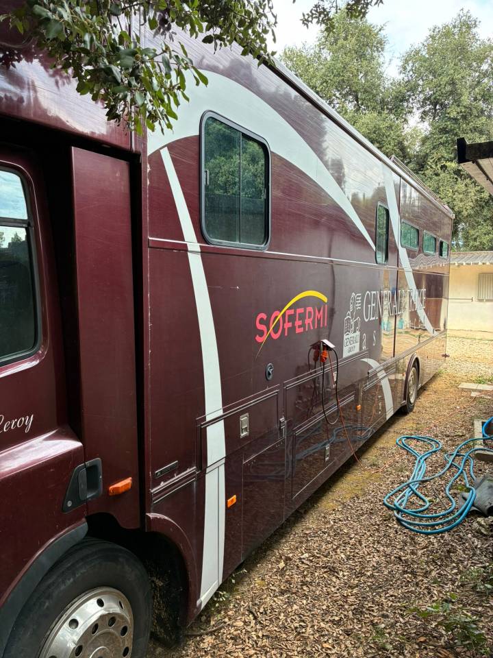 Zware paardenvrachtwagen (groot rijbewijs) Daf  2003 Tweedehands