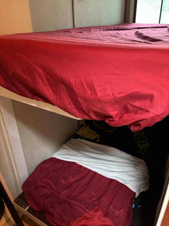 Zware paardenvrachtwagen (groot rijbewijs) Daf  2003 Tweedehands