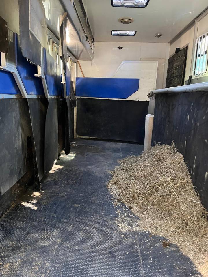 Zware paardenvrachtwagen (groot rijbewijs) Daf  2003 Tweedehands