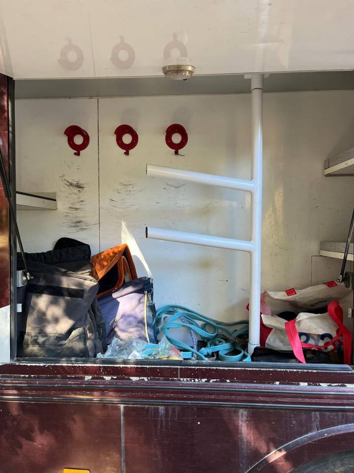 Zware paardenvrachtwagen (groot rijbewijs) Daf  2003 Tweedehands