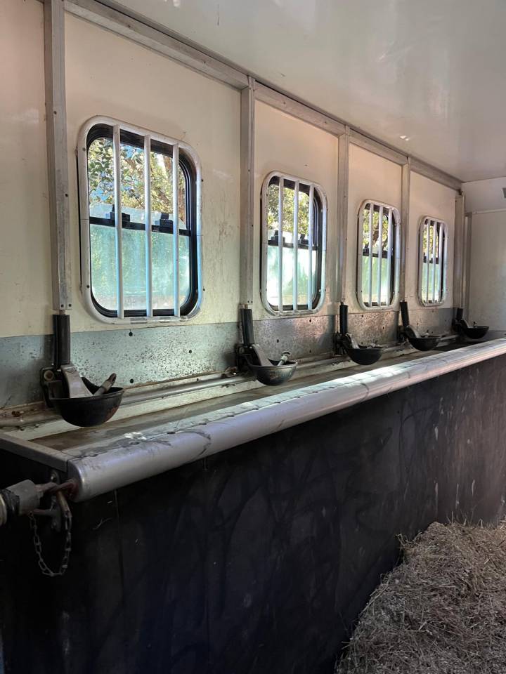 Zware paardenvrachtwagen (groot rijbewijs) Daf  2003 Tweedehands