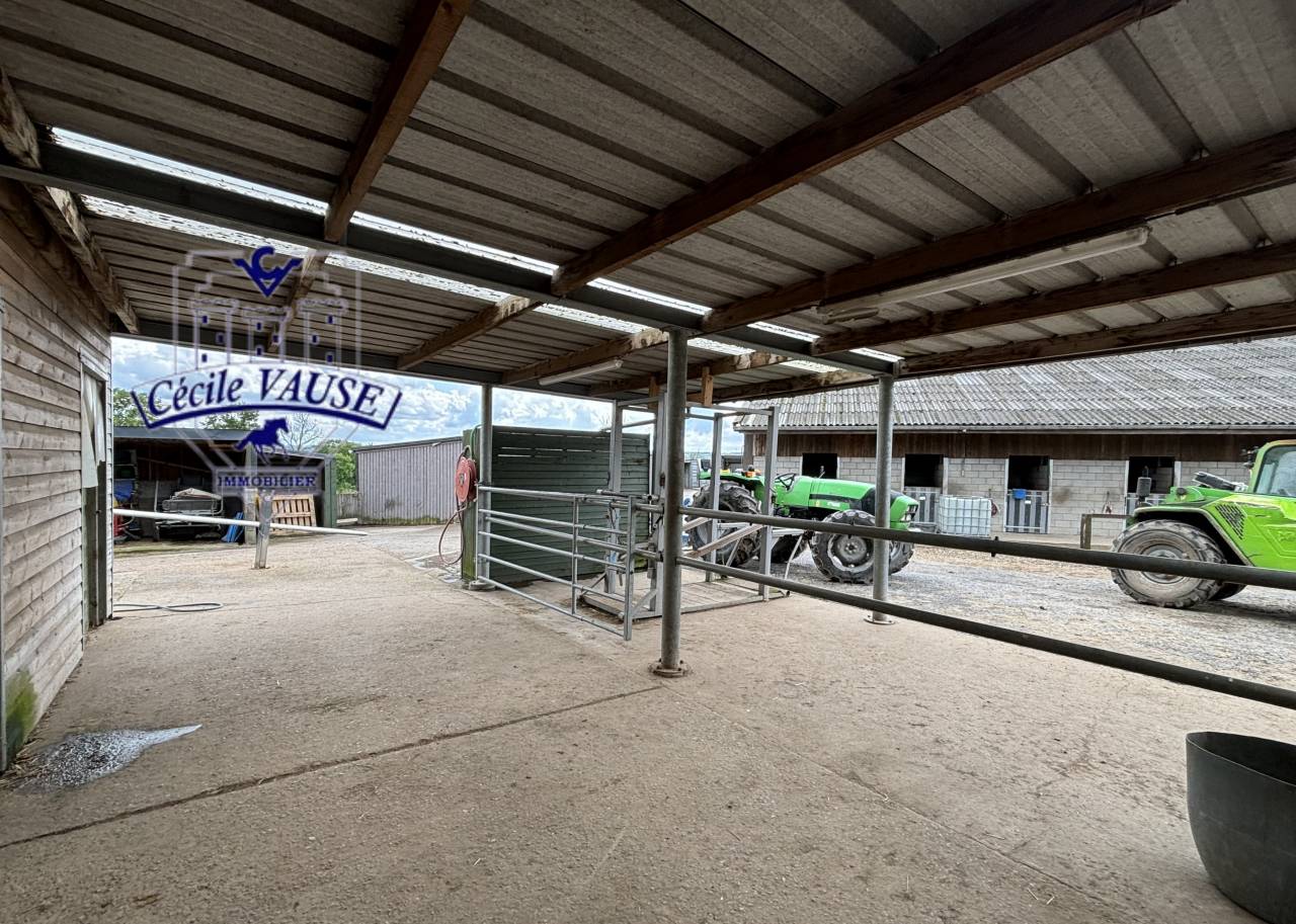 Ruiterclub Koop Liège