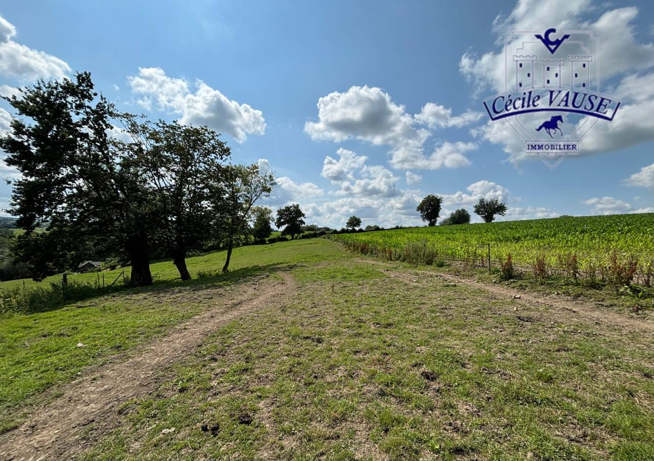 Ruiterclub Koop Liège