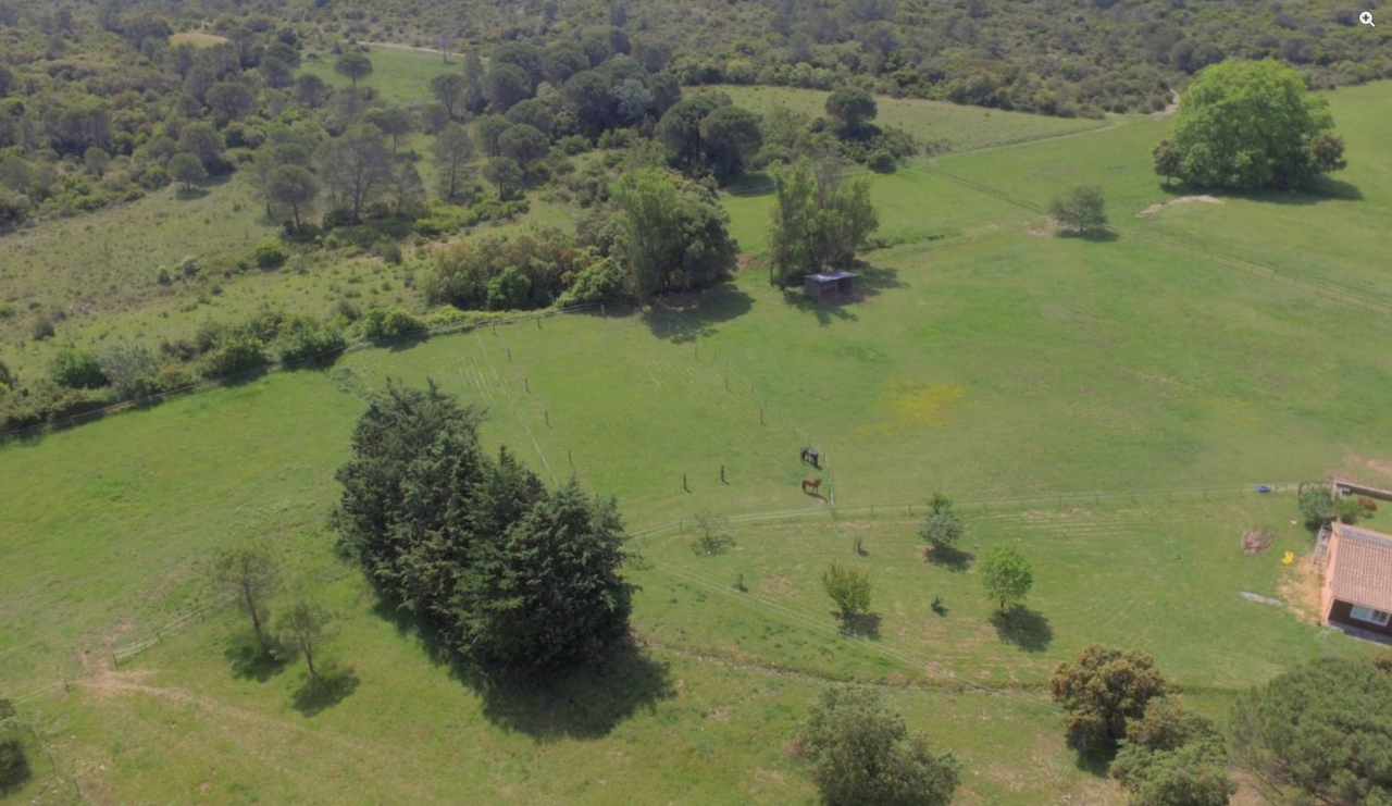 Hippisch vastgoed Koop Gard