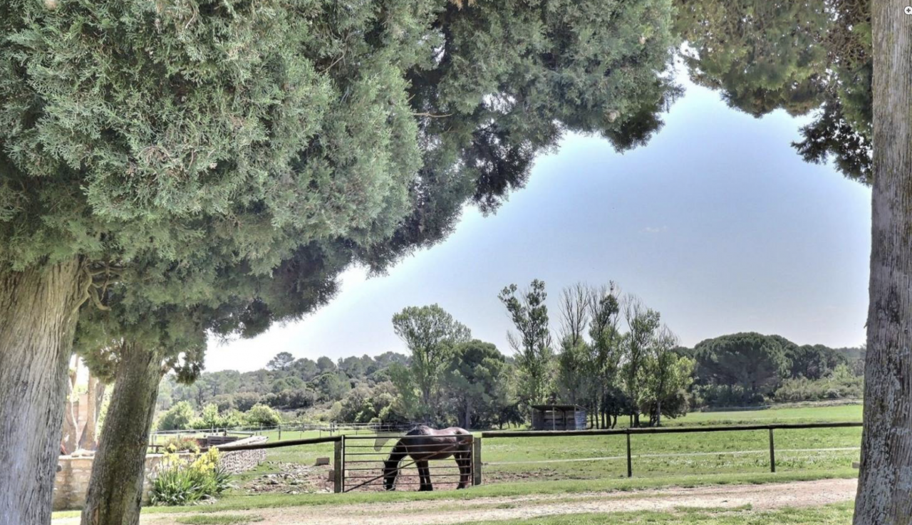 Hippisch vastgoed Koop Gard