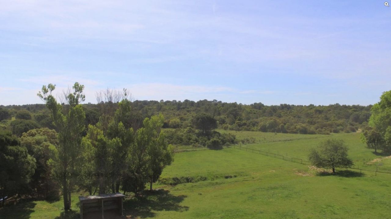 Hippisch vastgoed Koop Gard