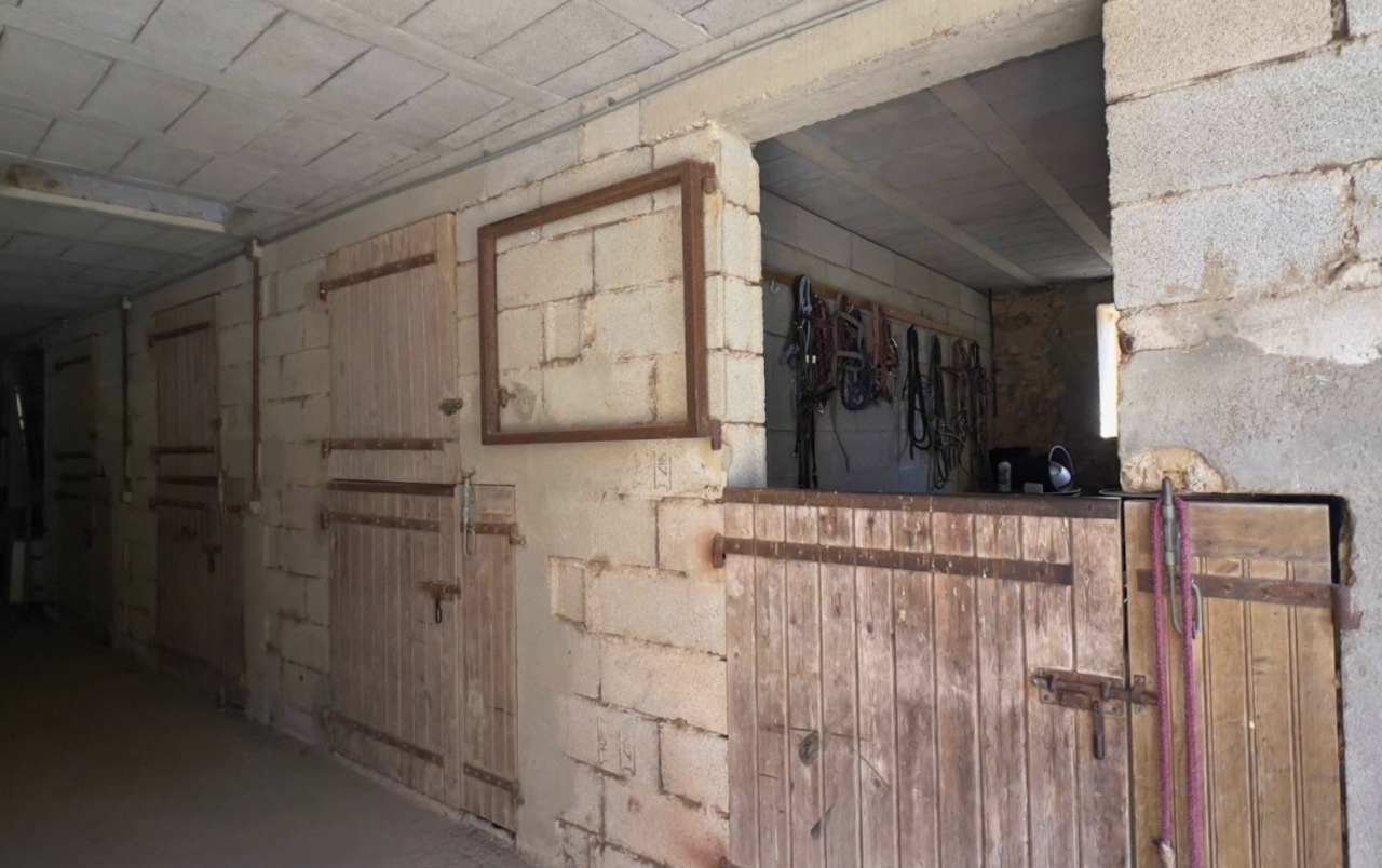 Hippisch vastgoed Koop Gard