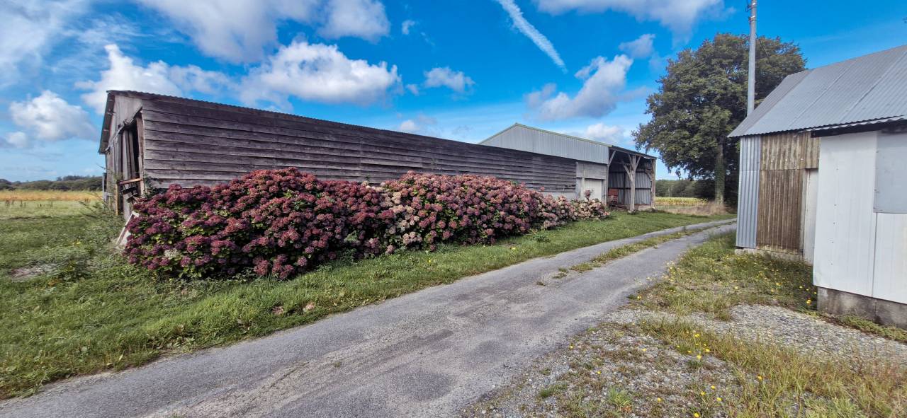 Ander plattelands vastgoed Koop Ile-et-Vilaine