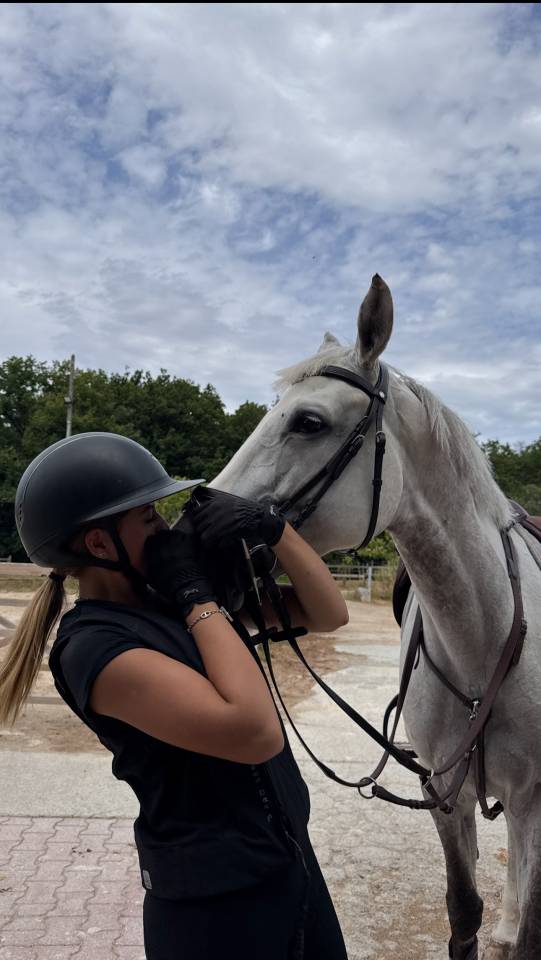 Merrie Zangersheide Te koop 2017 Schimmel ,  UNTOUCHABLE