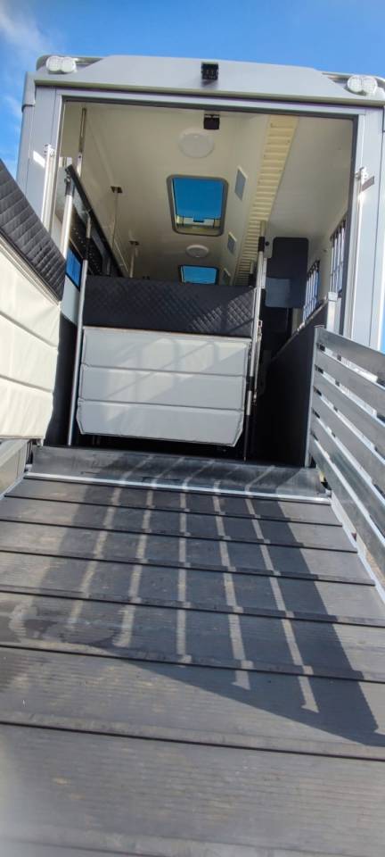 Zware paardenvrachtwagen (groot rijbewijs) Man MAN - TGM 2018 Tweedehands