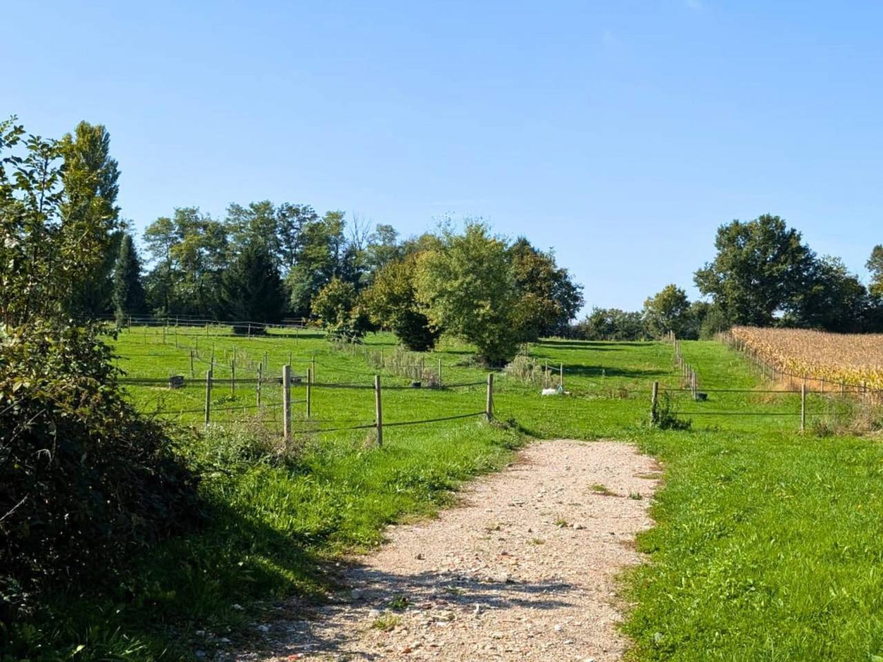 Hippisch vastgoed Koop Ain