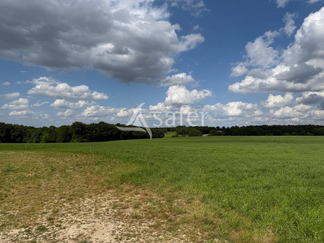 Melk exploitatie Koop Indre-et-Loire