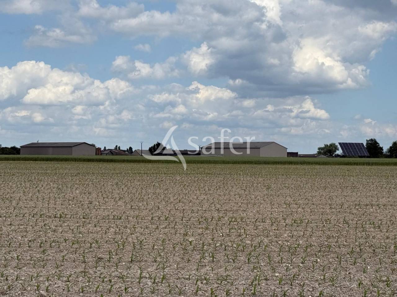 Melk exploitatie Koop Indre-et-Loire