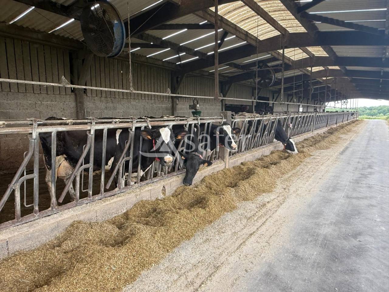 Melk exploitatie Koop Indre-et-Loire