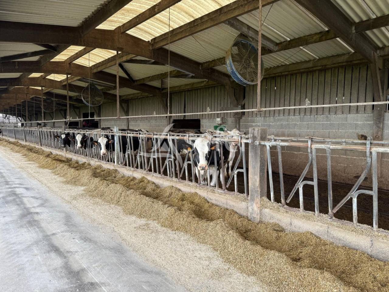 Melk exploitatie Koop Indre-et-Loire