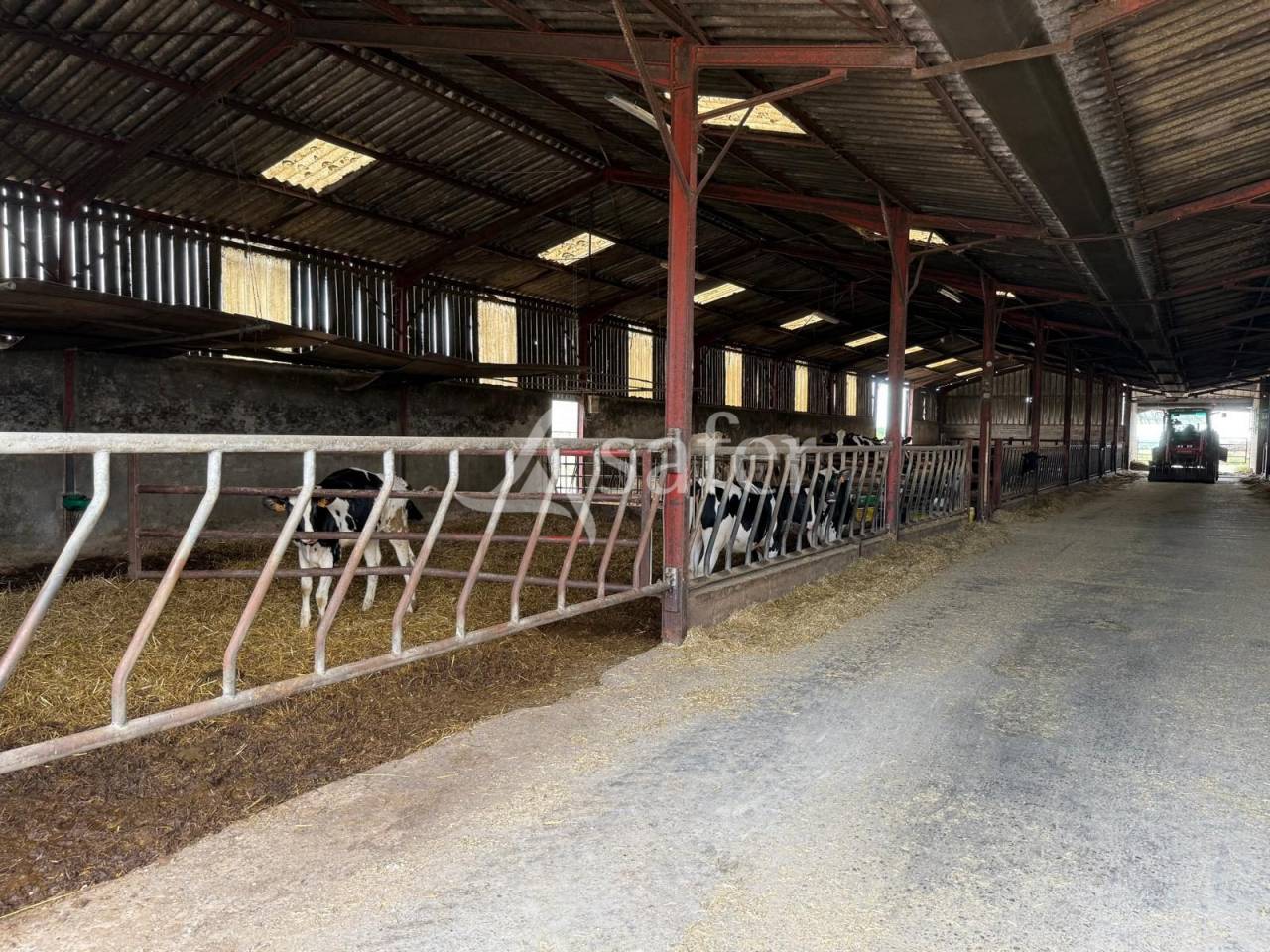 Melk exploitatie Koop Indre-et-Loire