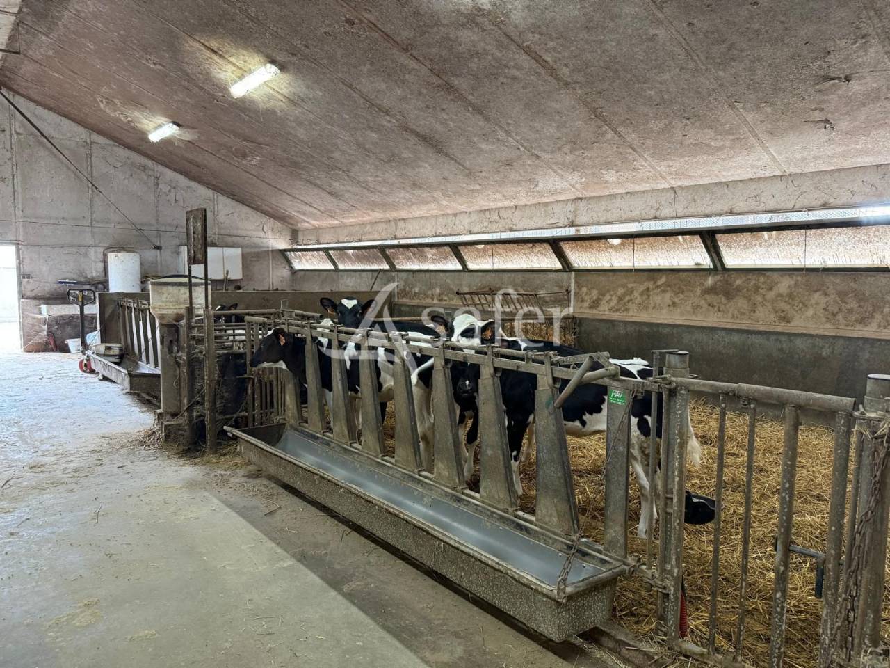 Melk exploitatie Koop Indre-et-Loire