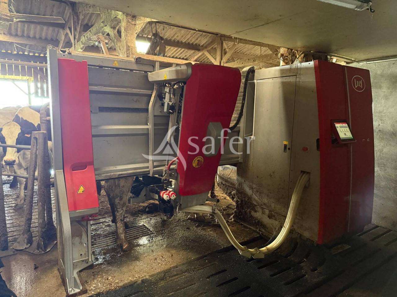 Melk exploitatie Koop Indre-et-Loire