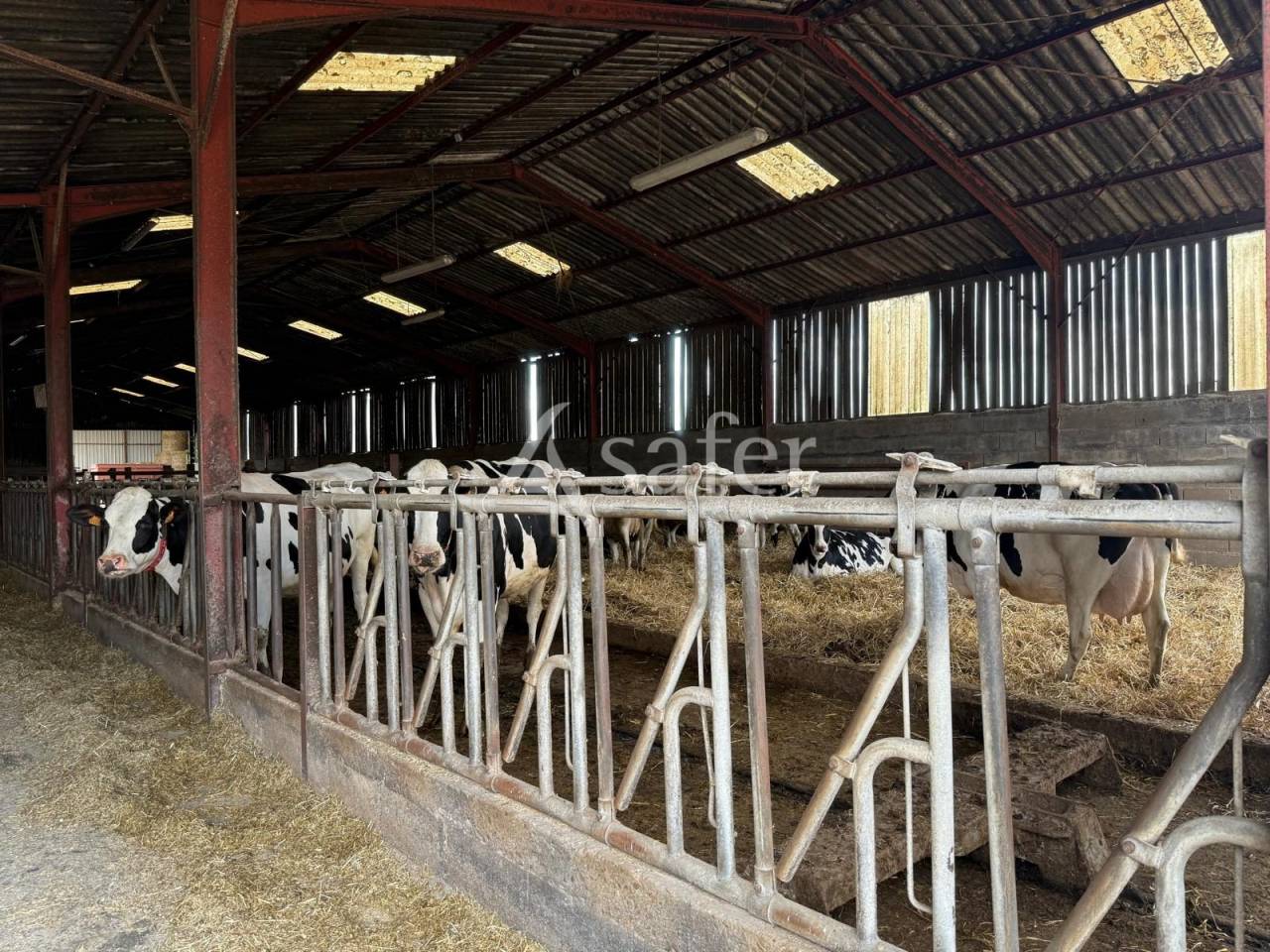 Melk exploitatie Koop Indre-et-Loire