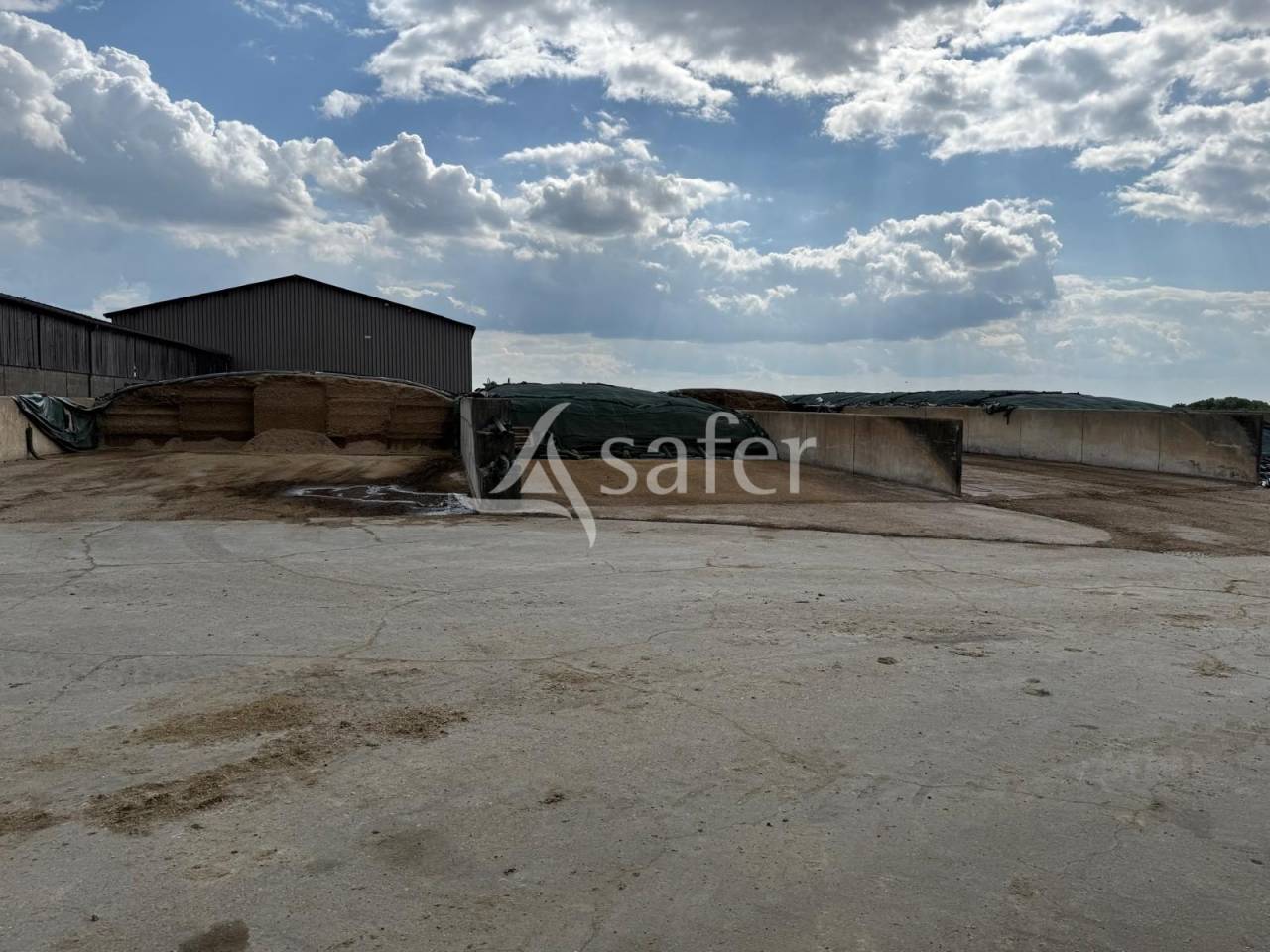 Melk exploitatie Koop Indre-et-Loire