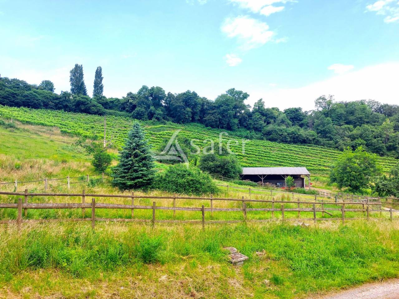 Landbouw bedrijf Koop Pyrénées-Atlantiques