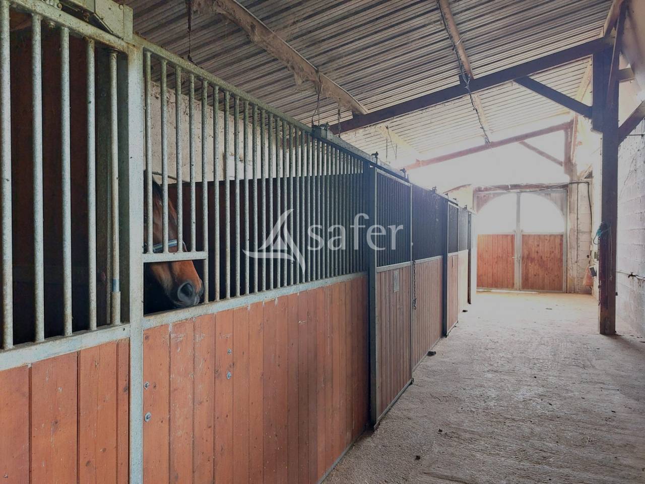 Landbouw bedrijf Koop Pyrénées-Atlantiques
