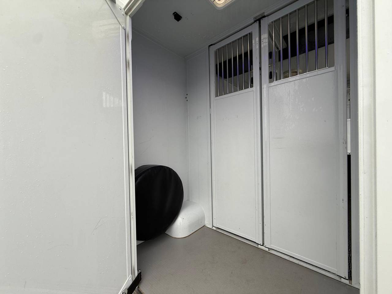 Kleine paardenvrachtwagen (B rijbewijs) MTM FILOVAN MASTER  2016 Tweedehands