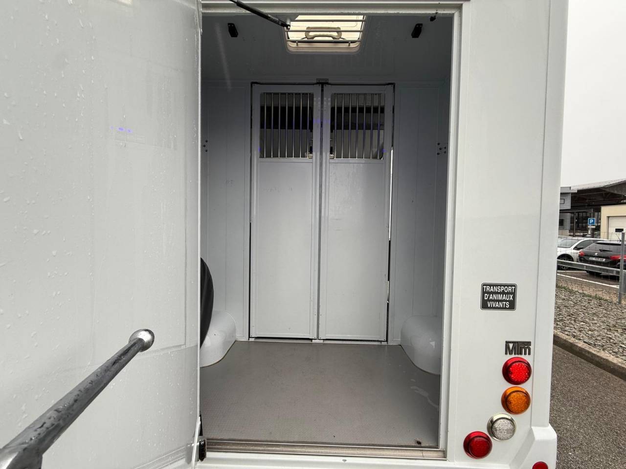 Kleine paardenvrachtwagen (B rijbewijs) MTM FILOVAN MASTER  2016 Tweedehands