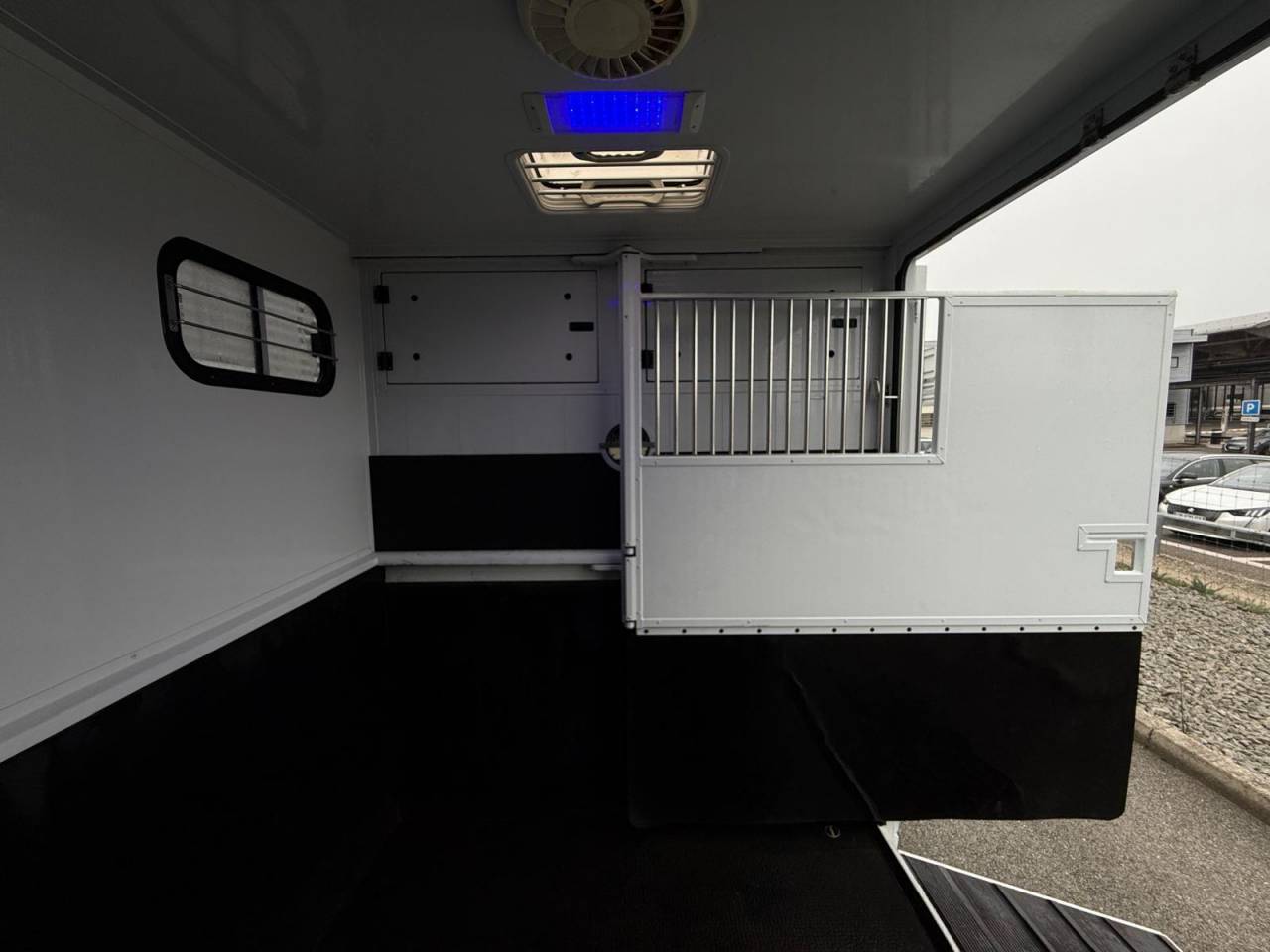 Kleine paardenvrachtwagen (B rijbewijs) MTM FILOVAN MASTER  2016 Tweedehands