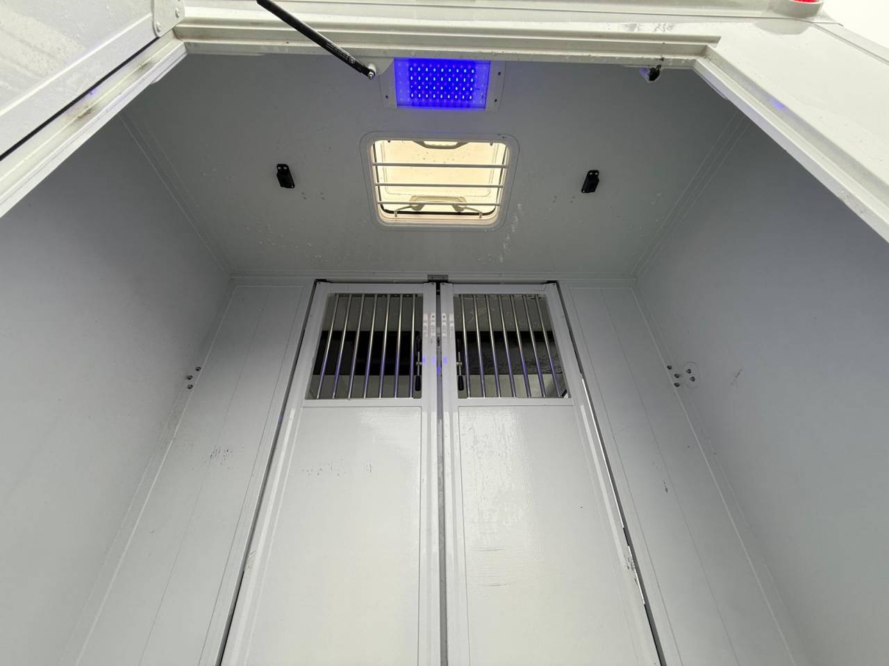 Kleine paardenvrachtwagen (B rijbewijs) MTM FILOVAN MASTER  2016 Tweedehands