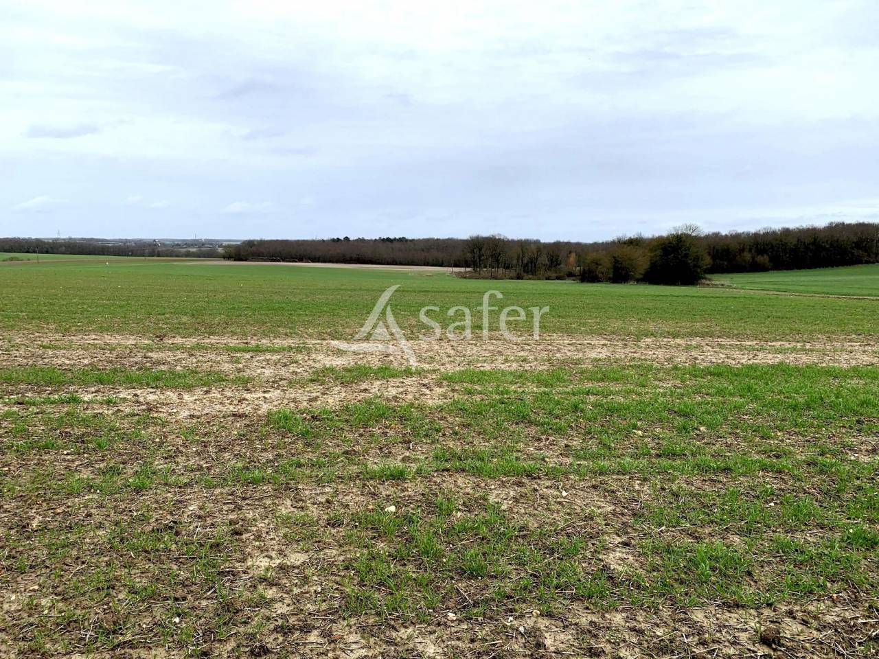 Landbouw bedrijf Koop Indre-et-Loire