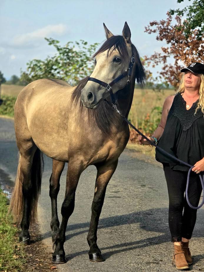 Ruin Spaans Normand Te koop 2022 Isabel